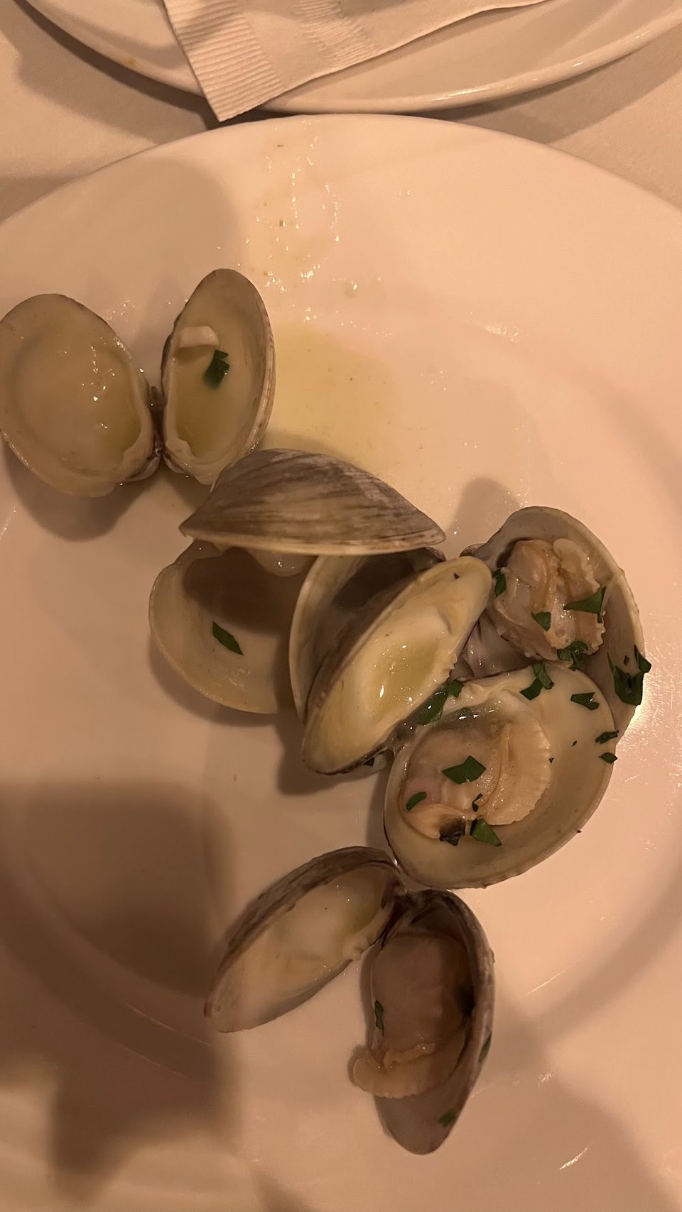 Steamed Clams